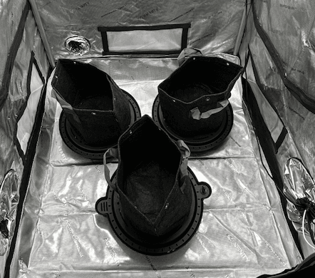 3-Gal Fabric Pots on Self-Watering Base.png