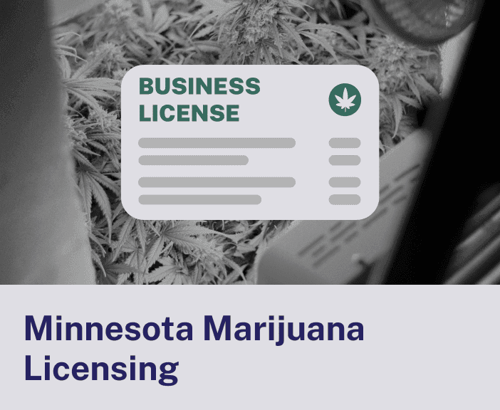 Minnesota Marijuana Licensing