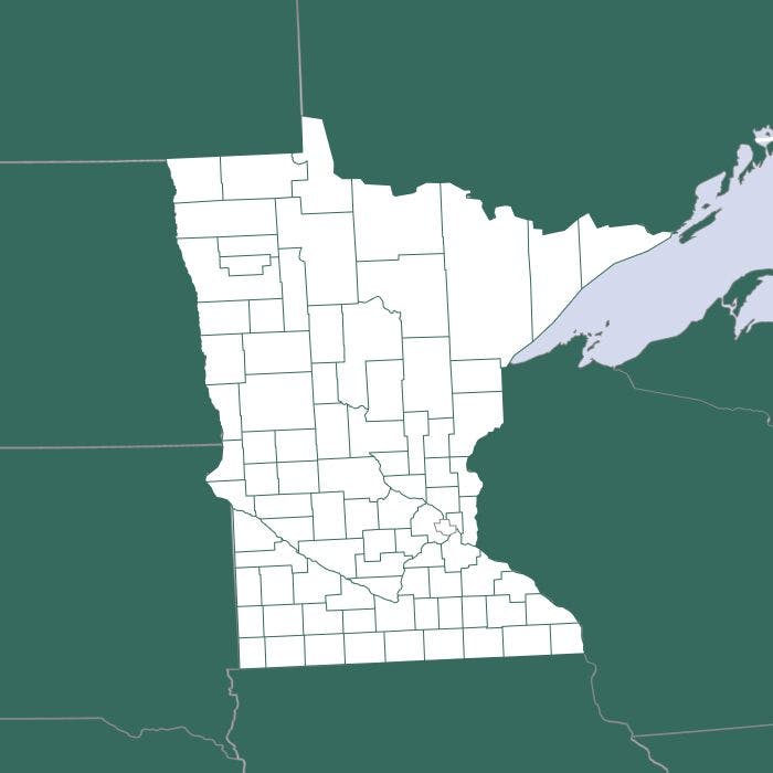 Minnesota Cannabis County Information