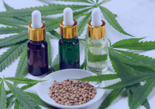 Minnesota Active Medical Marijuana Patients in 2025.png