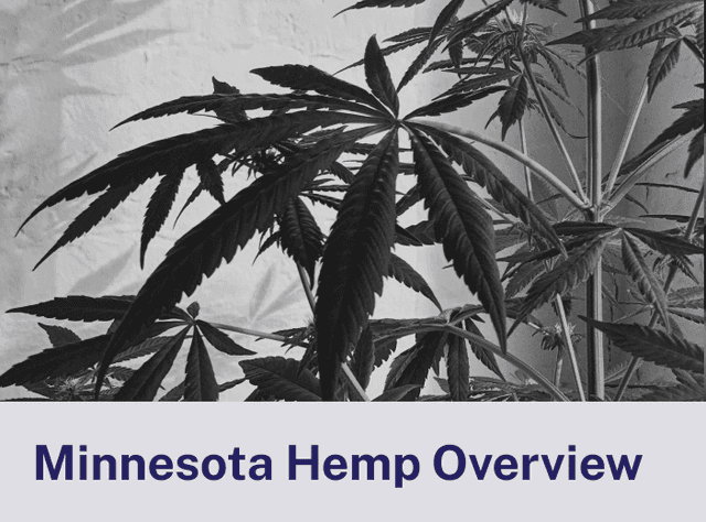 Minnesota Hemp Overview