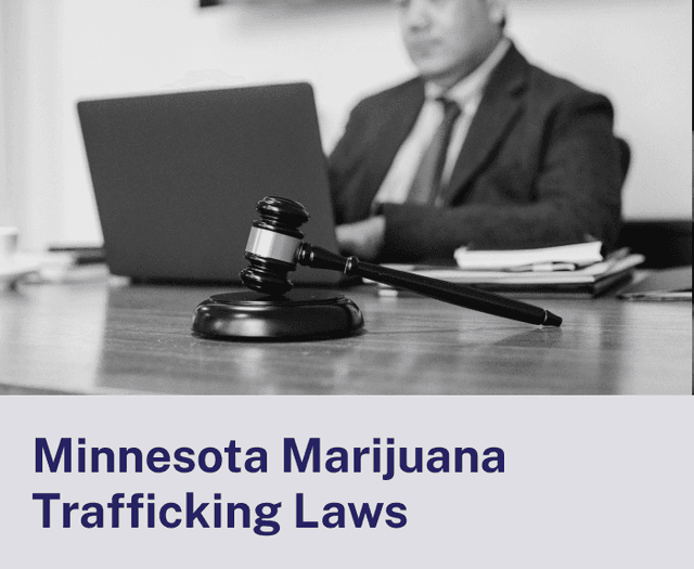 Minnesota Marijuana Trafficking Laws