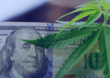 Minnesota Marijuana Sales Report